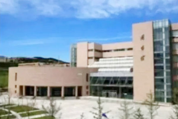 大连外国语大学新加坡2+2国际本科