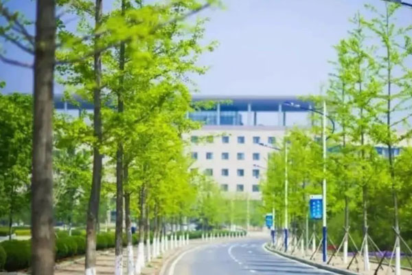 大连外国语大学新加坡2+2国际本科