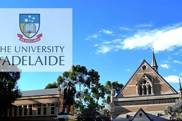 西南政法大学2+2