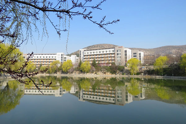 山东艺术学院2+2国际本科