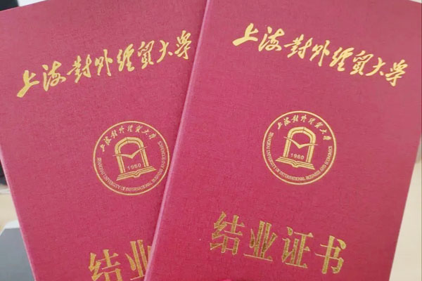 上海对外经贸大学IPC本科1+3项目