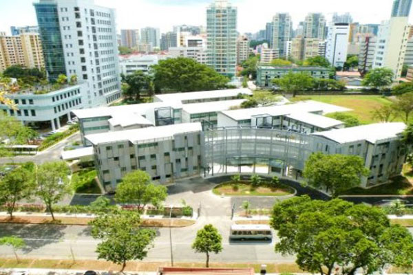 上海对外经贸大学IPC本科1+3项目