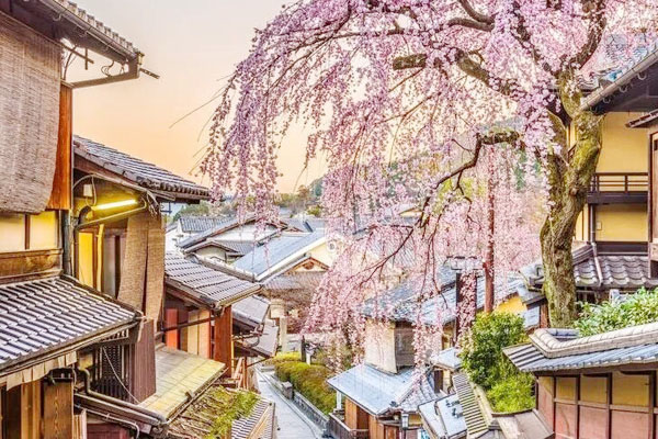 北京第二外国语学院国际本科
