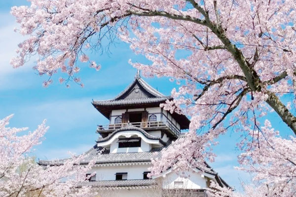 北京第二外国语学院国际本科