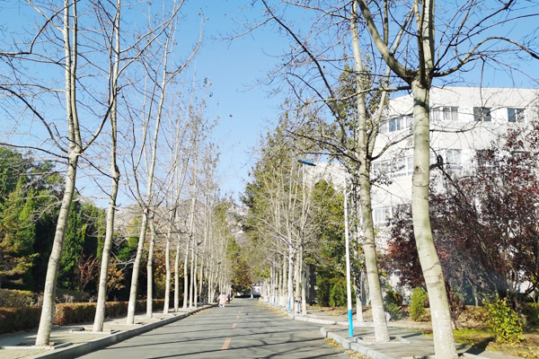 大连大学2+2国际本科