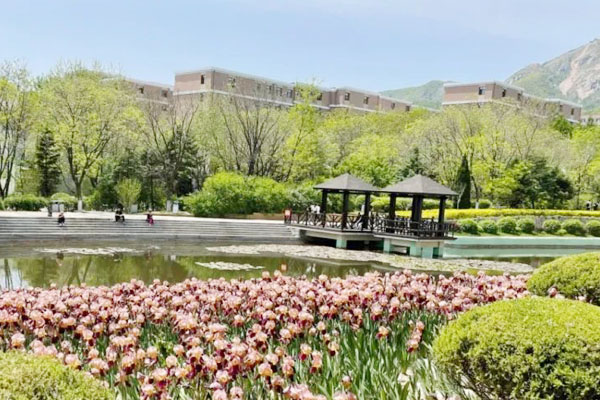 大连大学2+2国际本科