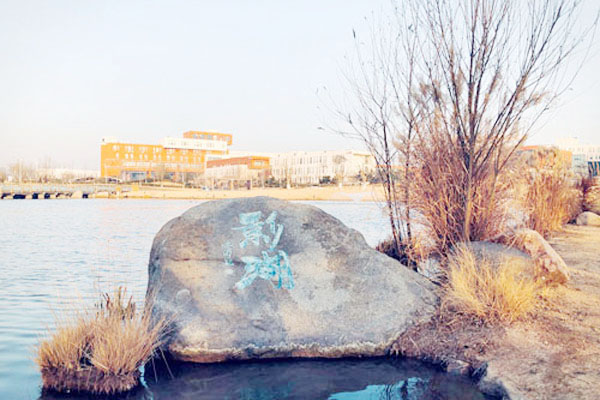 青岛电影学院国际本科