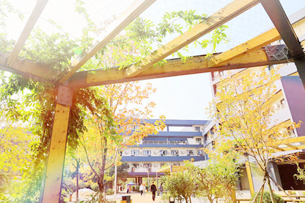 青岛电影学院国际本科