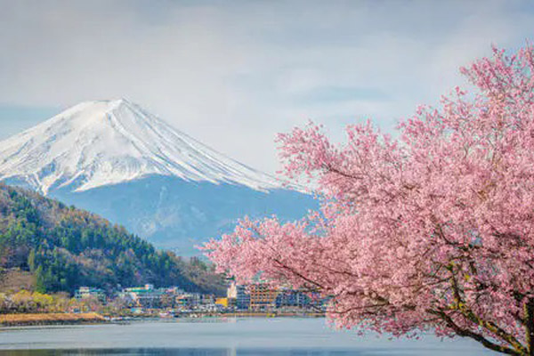对外经济贸易大学青岛研究院国际本科