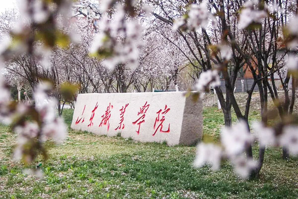 山东职业学院国际本科