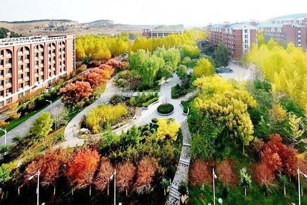 山东职业学院国际本科