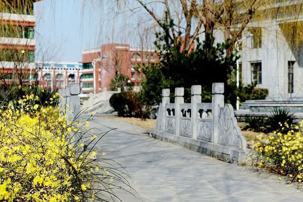 山东职业学院国际本科