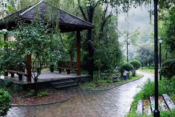 山东职业学院国际本科