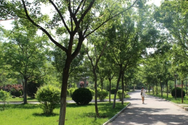 山东女子学院韩国留学