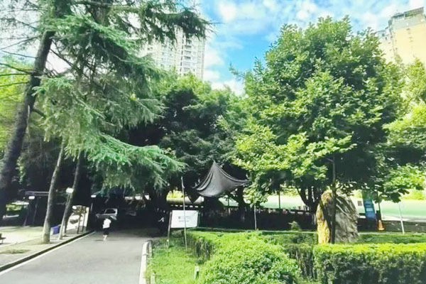 西南大学1+3国际本科