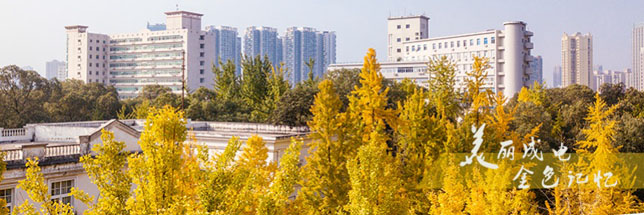 电子科技大学SQA3+1国际本科