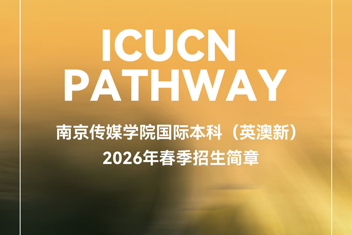 南京传媒学院国际本科（英澳新）