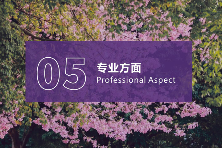 广东金融学院国际本科项目(非统招)