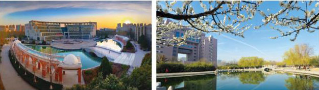 山东理工大学国际本科