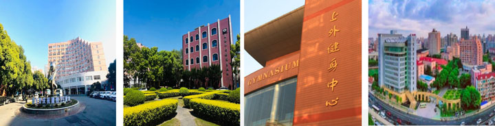 上海外国语大学IFC国际本科