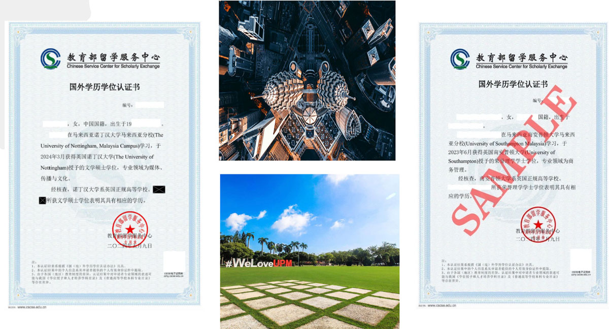 上海外国语大学IFC国际本科
