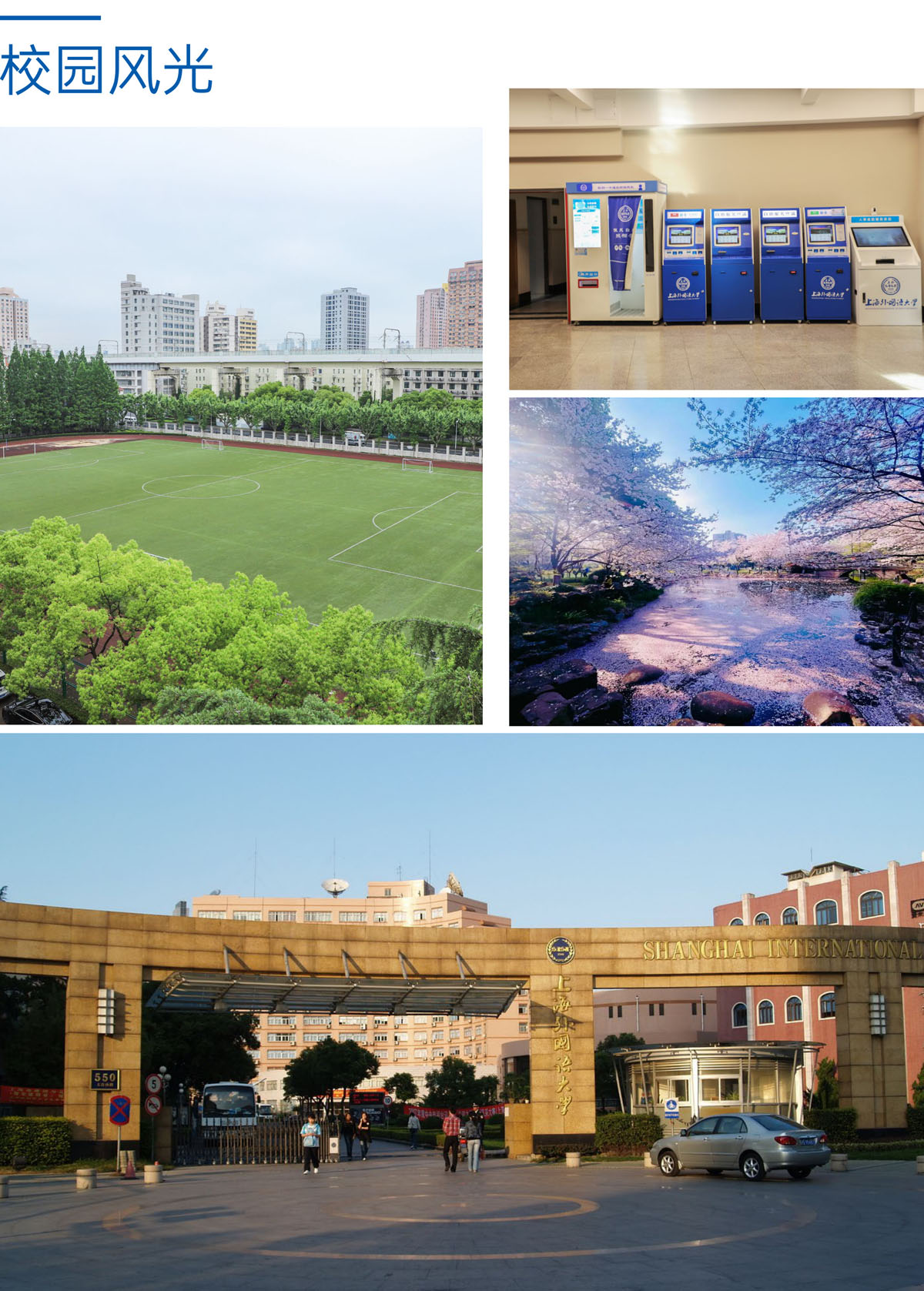 上海外国语大学IFC国际本科