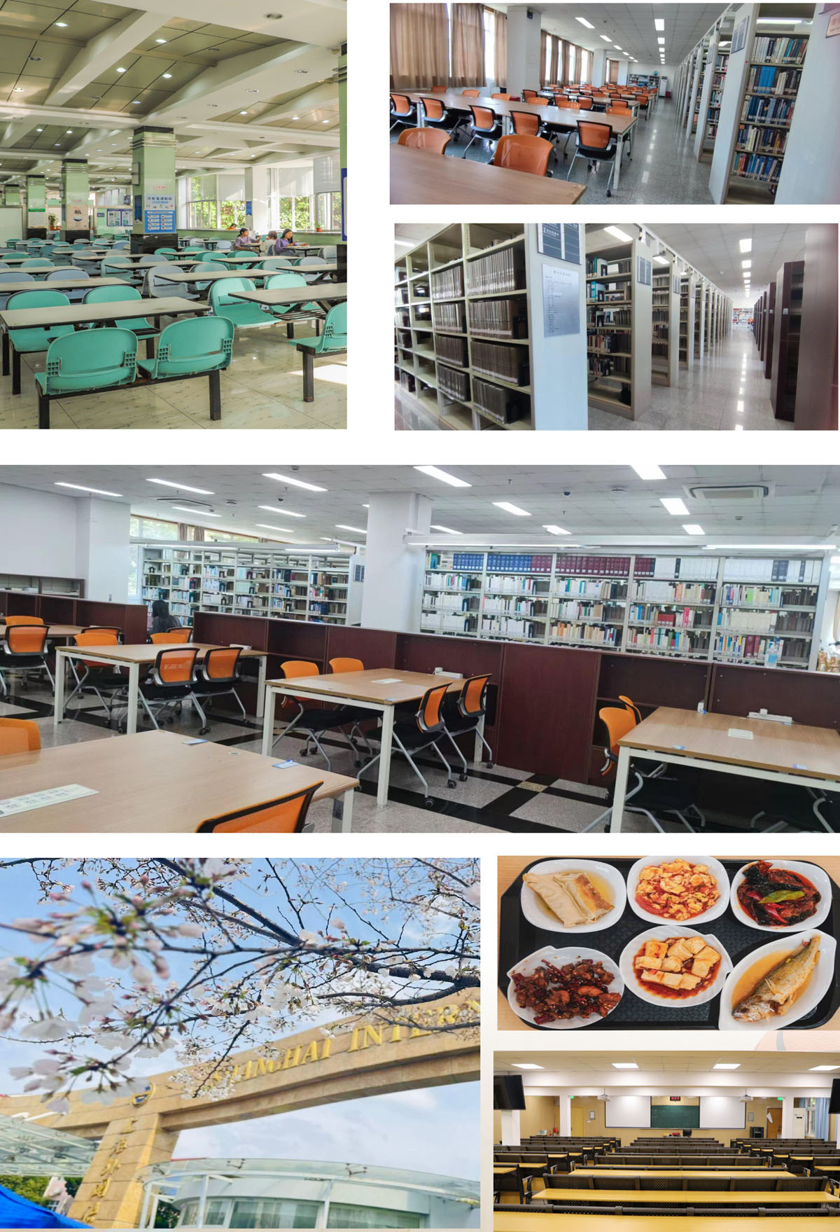 上海外国语大学IFC国际本科