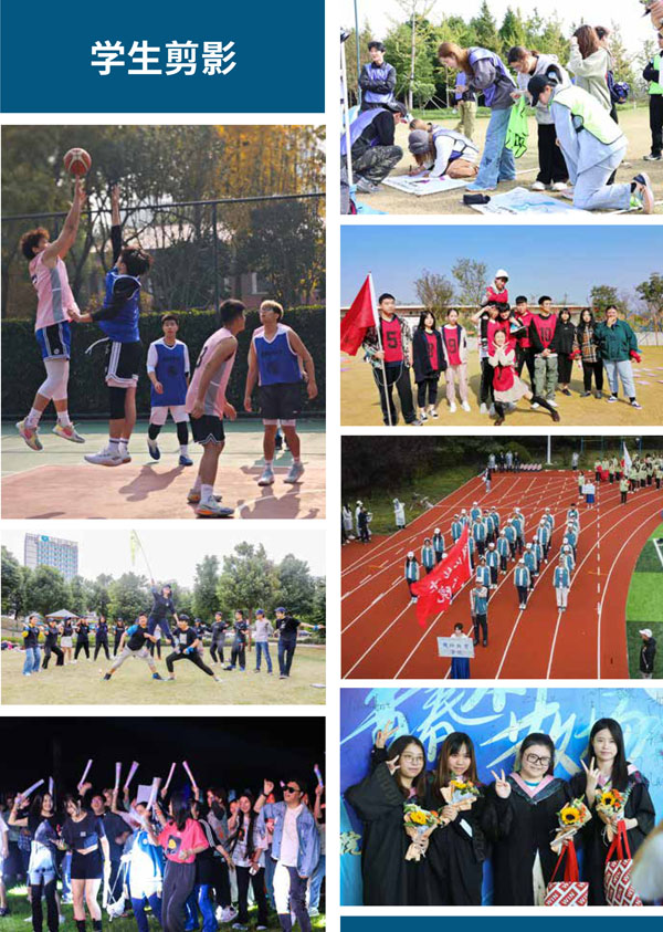 上海外国语大学国际本科SQA3+1项目