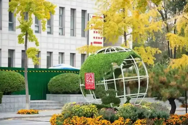 北语2+2国际本科怎么样？语言王牌+百所名校的黄