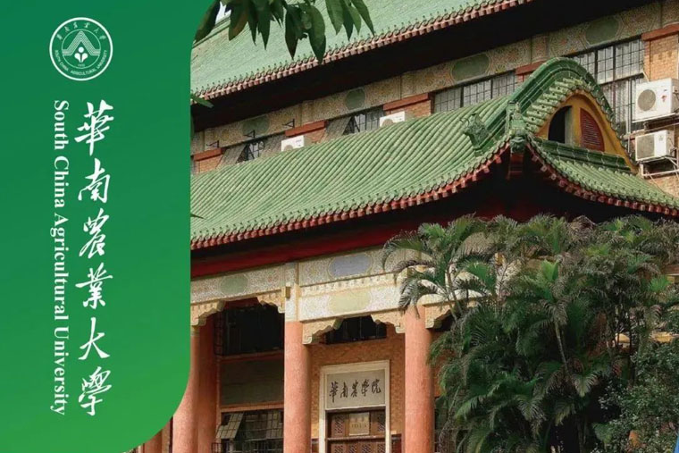 2025年华南农业大学2+2国际本科项目招生简章