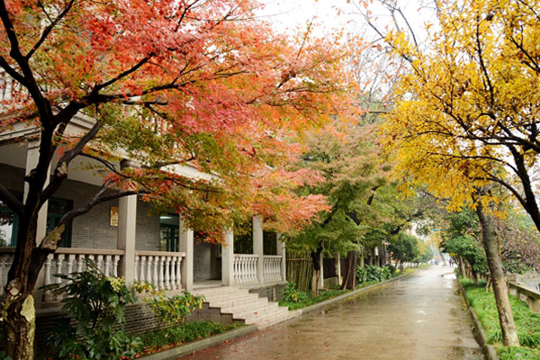 苏州大学2+2国际本科正规吗？一文读懂项目权威