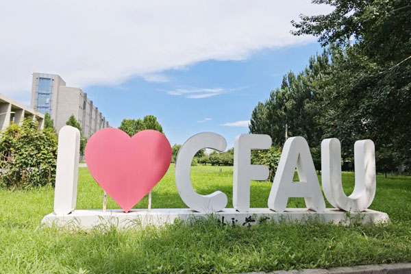 外交学院2+2国际本科值得读吗？真相让你震惊！