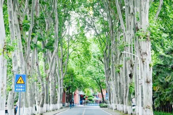 湖北工业大学2+2国际本科怎么样？高性价比的留