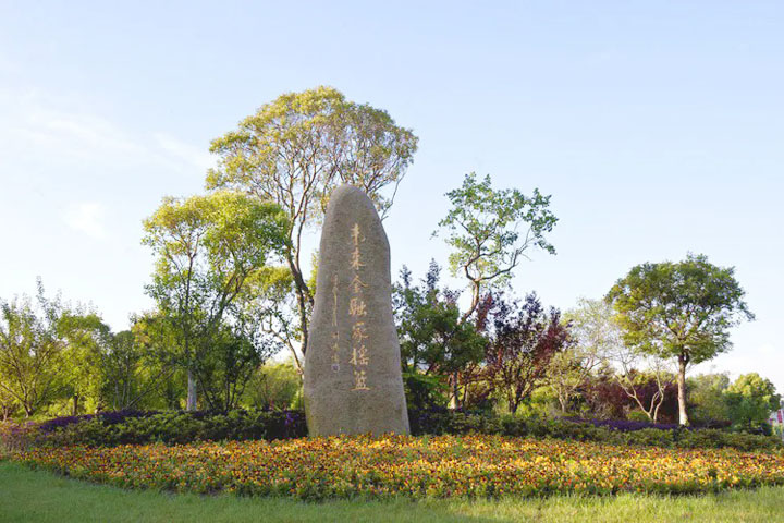 上海立信国际财经学院SQA&nbsp;AD(2.5+1)项目2026春