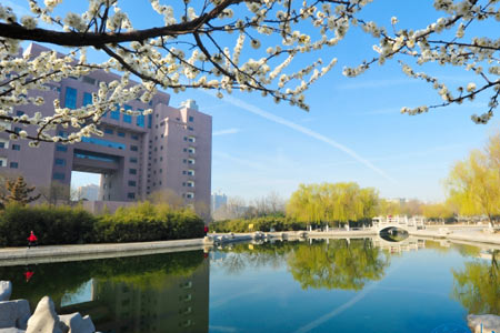 山东理工大学2+2国际本科