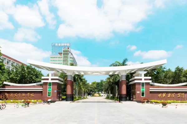 2026年广东金融学院SQA3+1国际本科项目